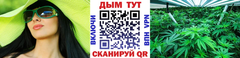 Купить  Собинка  Конопля SATIVA & INDICA 